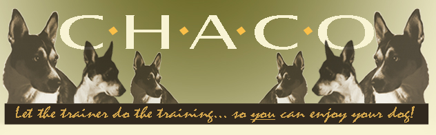 CHACO Dog Training